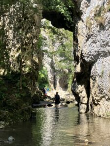 065ACA83-254F-47A0-9729-53032C2F802C_1_105_c